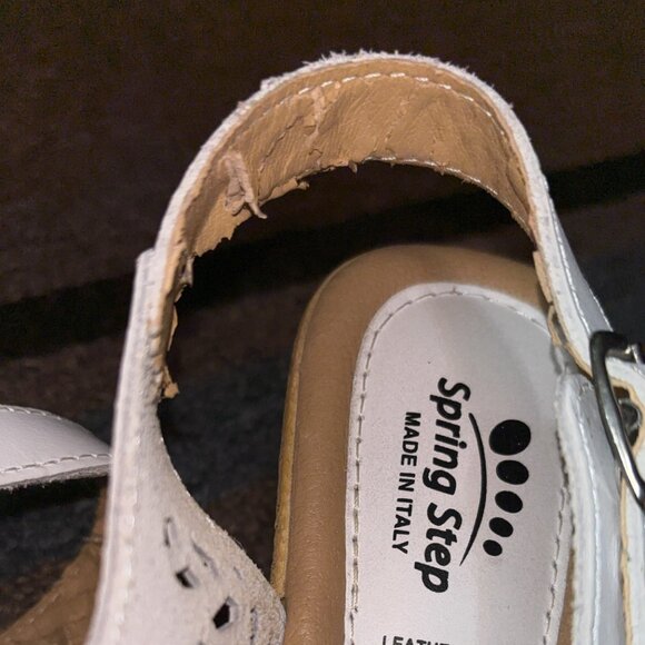 Spring Step - Picture 6 of 6